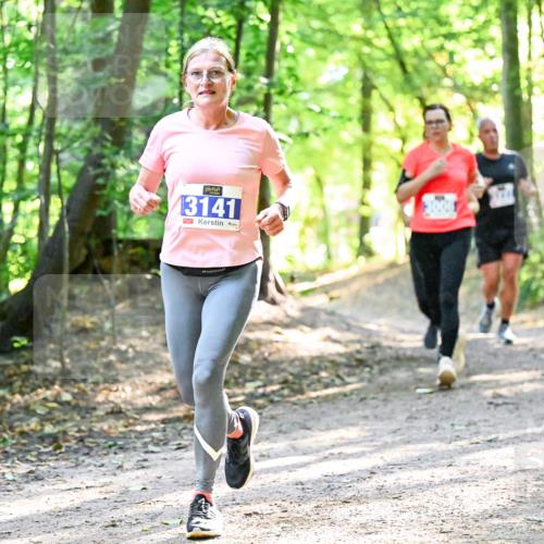 28.09.2025 - 33. Volkslauf durch das schöne Alstertal Dr. Thomas Lammeyer http://msf.ph/oto/8962825 28.09.2025 11:12:40 Laufen 13141 meine-sportfotos.de
