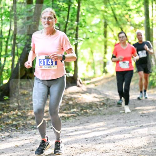 28.09.2025 - 33. Volkslauf durch das schöne Alstertal Dr. Thomas Lammeyer http://msf.ph/oto/8962826 28.09.2025 11:12:40 Laufen 3141 meine-sportfotos.de