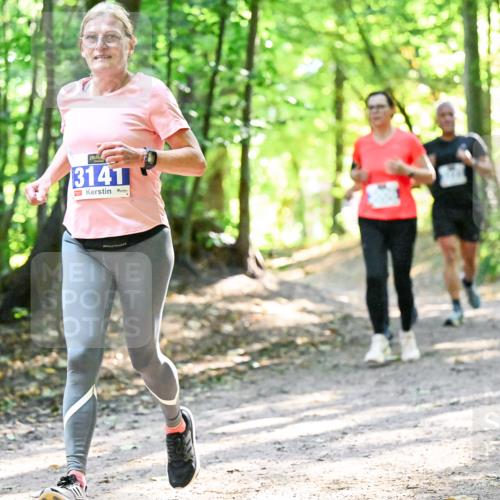 28.09.2025 - 33. Volkslauf durch das schöne Alstertal Dr. Thomas Lammeyer http://msf.ph/oto/8962827 28.09.2025 11:12:40 Laufen 13141 meine-sportfotos.de