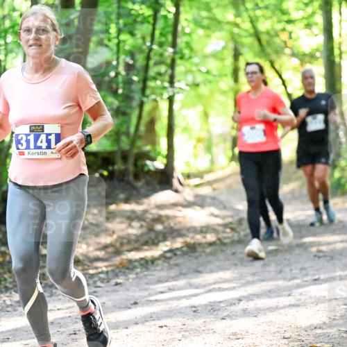 28.09.2025 - 33. Volkslauf durch das schöne Alstertal Dr. Thomas Lammeyer http://msf.ph/oto/8962828 28.09.2025 11:12:40 Laufen 3141 meine-sportfotos.de