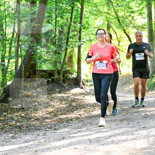 28.09.2025 - 33. Volkslauf durch das schöne Alstertal Dr. Thomas Lammeyer http://msf.ph/oto/8962829 28.09.2025 11:12:41 Laufen 3006, 3222 meine-sportfotos.de