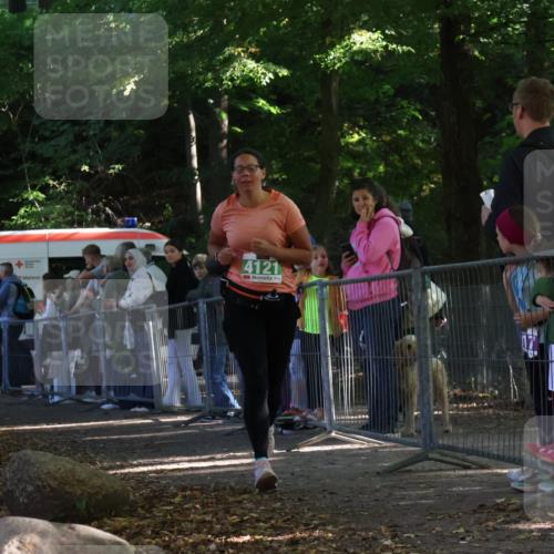 28.09.2025 - 33. Volkslauf durch das schöne Alstertal Strokosch-Dieckow http://msf.ph/oto/8962830 28.09.2025 10:59:02 Ziel 4102, 4121 meine-sportfotos.de