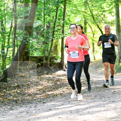 28.09.2025 - 33. Volkslauf durch das schöne Alstertal Dr. Thomas Lammeyer http://msf.ph/oto/8962831 28.09.2025 11:12:41 Laufen 3006, 3222 meine-sportfotos.de