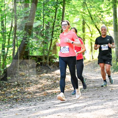 28.09.2025 - 33. Volkslauf durch das schöne Alstertal Dr. Thomas Lammeyer http://msf.ph/oto/8962832 28.09.2025 11:12:41 Laufen 3006, 3222 meine-sportfotos.de