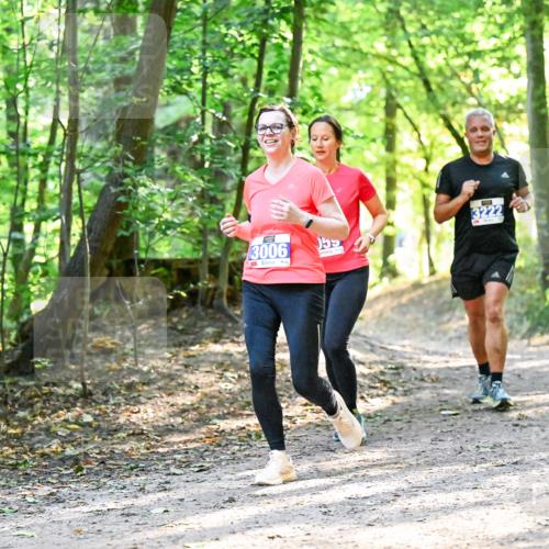 28.09.2025 - 33. Volkslauf durch das schöne Alstertal Dr. Thomas Lammeyer http://msf.ph/oto/8962833 28.09.2025 11:12:41 Laufen 3006, 3222 meine-sportfotos.de