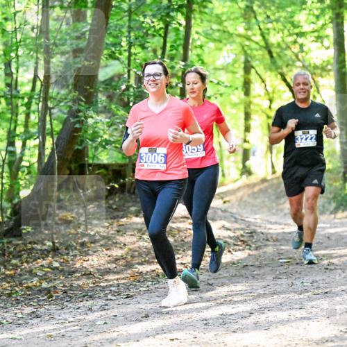 28.09.2025 - 33. Volkslauf durch das schöne Alstertal Dr. Thomas Lammeyer http://msf.ph/oto/8962834 28.09.2025 11:12:41 Laufen 3059, 3222, 3006 meine-sportfotos.de