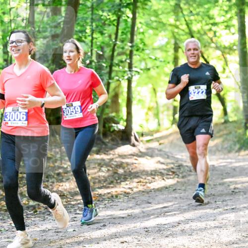 28.09.2025 - 33. Volkslauf durch das schöne Alstertal Dr. Thomas Lammeyer http://msf.ph/oto/8962839 28.09.2025 11:12:42 Laufen 3006, 3059, 3222 meine-sportfotos.de