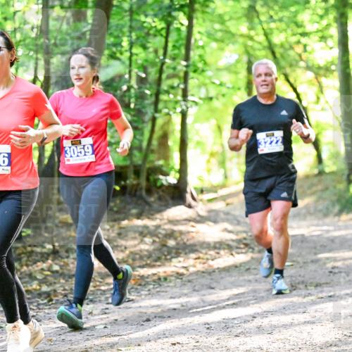 28.09.2025 - 33. Volkslauf durch das schöne Alstertal Dr. Thomas Lammeyer http://msf.ph/oto/8962840 28.09.2025 11:12:42 Laufen 3006, 3059, 3 meine-sportfotos.de