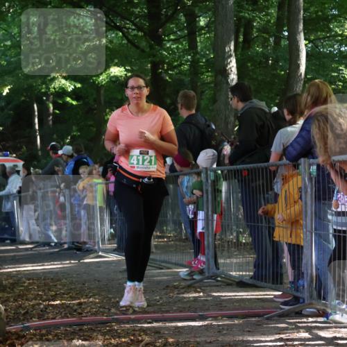 28.09.2025 - 33. Volkslauf durch das schöne Alstertal Strokosch-Dieckow http://msf.ph/oto/8962843 28.09.2025 10:59:03 Ziel 4101, 4102, 4121 meine-sportfotos.de