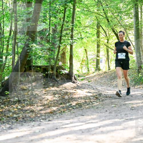 28.09.2025 - 33. Volkslauf durch das schöne Alstertal Dr. Thomas Lammeyer http://msf.ph/oto/8962847 28.09.2025 11:12:53 Laufen  meine-sportfotos.de