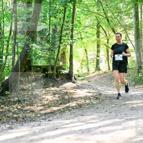28.09.2025 - 33. Volkslauf durch das schöne Alstertal Dr. Thomas Lammeyer http://msf.ph/oto/8962848 28.09.2025 11:12:53 Laufen  meine-sportfotos.de
