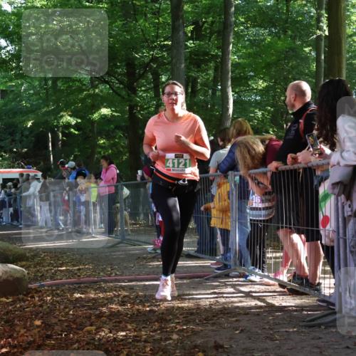 28.09.2025 - 33. Volkslauf durch das schöne Alstertal Strokosch-Dieckow http://msf.ph/oto/8962849 28.09.2025 10:59:04 Ziel 4101, 4102, 4121 meine-sportfotos.de
