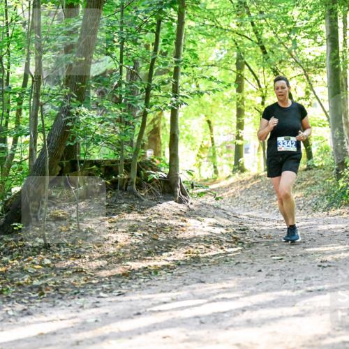 28.09.2025 - 33. Volkslauf durch das schöne Alstertal Dr. Thomas Lammeyer http://msf.ph/oto/8962850 28.09.2025 11:12:53 Laufen 3342 meine-sportfotos.de