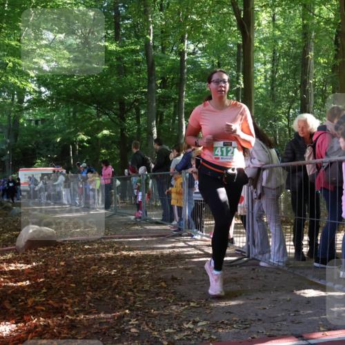 28.09.2025 - 33. Volkslauf durch das schöne Alstertal Strokosch-Dieckow http://msf.ph/oto/8962853 28.09.2025 10:59:05 Ziel 4101, 4102, 4121 meine-sportfotos.de