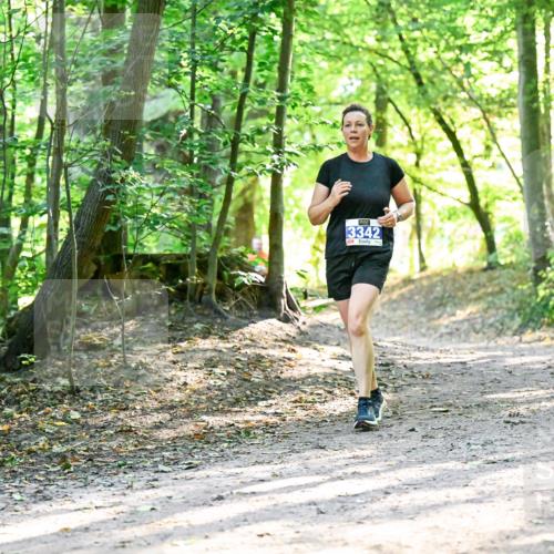 28.09.2025 - 33. Volkslauf durch das schöne Alstertal Dr. Thomas Lammeyer http://msf.ph/oto/8962857 28.09.2025 11:12:54 Laufen 3342 meine-sportfotos.de