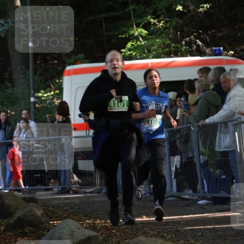 28.09.2025 - 33. Volkslauf durch das schöne Alstertal Strokosch-Dieckow http://msf.ph/oto/8962858 28.09.2025 10:59:08 Ziel 4101, 4102, 4917 meine-sportfotos.de