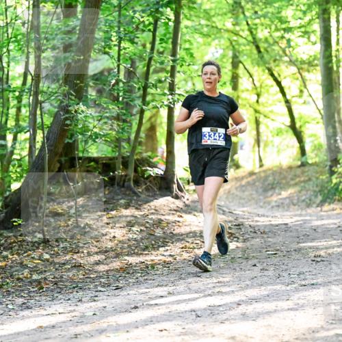 28.09.2025 - 33. Volkslauf durch das schöne Alstertal Dr. Thomas Lammeyer http://msf.ph/oto/8962859 28.09.2025 11:12:54 Laufen 3342 meine-sportfotos.de