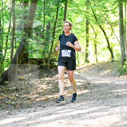 28.09.2025 - 33. Volkslauf durch das schöne Alstertal Dr. Thomas Lammeyer http://msf.ph/oto/8962862 28.09.2025 11:12:55 Laufen 3342 meine-sportfotos.de