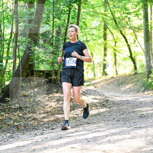 28.09.2025 - 33. Volkslauf durch das schöne Alstertal Dr. Thomas Lammeyer http://msf.ph/oto/8962863 28.09.2025 11:12:55 Laufen 3342 meine-sportfotos.de