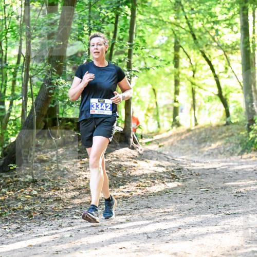 28.09.2025 - 33. Volkslauf durch das schöne Alstertal Dr. Thomas Lammeyer http://msf.ph/oto/8962866 28.09.2025 11:12:55 Laufen 3342 meine-sportfotos.de