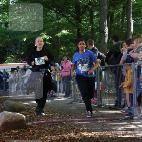 28.09.2025 - 33. Volkslauf durch das schöne Alstertal Strokosch-Dieckow http://msf.ph/oto/8962873 28.09.2025 10:59:11 Ziel 4101, 4102, 4917 meine-sportfotos.de