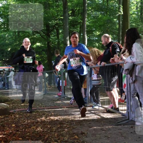 28.09.2025 - 33. Volkslauf durch das schöne Alstertal Strokosch-Dieckow http://msf.ph/oto/8962876 28.09.2025 10:59:11 Ziel 4101, 4102, 4917 meine-sportfotos.de