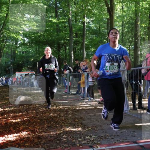 28.09.2025 - 33. Volkslauf durch das schöne Alstertal Strokosch-Dieckow http://msf.ph/oto/8962879 28.09.2025 10:59:12 Ziel 4101, 4102, 4917 meine-sportfotos.de