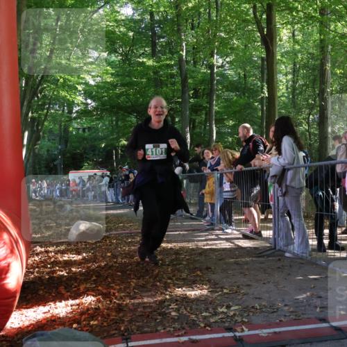 28.09.2025 - 33. Volkslauf durch das schöne Alstertal Strokosch-Dieckow http://msf.ph/oto/8962881 28.09.2025 10:59:12 Ziel 4101, 4102, 4917 meine-sportfotos.de