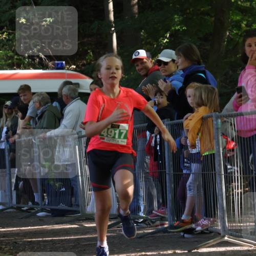 28.09.2025 - 33. Volkslauf durch das schöne Alstertal Strokosch-Dieckow http://msf.ph/oto/8962886 28.09.2025 10:59:14 Ziel 4917 meine-sportfotos.de