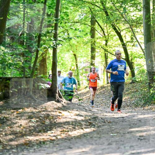 28.09.2025 - 33. Volkslauf durch das schöne Alstertal Dr. Thomas Lammeyer http://msf.ph/oto/8962888 28.09.2025 11:13:06 Laufen 3086, 1506, 3009 meine-sportfotos.de