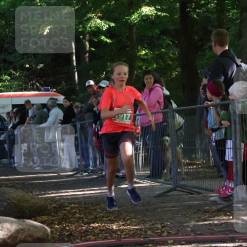 28.09.2025 - 33. Volkslauf durch das schöne Alstertal Strokosch-Dieckow http://msf.ph/oto/8962889 28.09.2025 10:59:15 Ziel 4917 meine-sportfotos.de