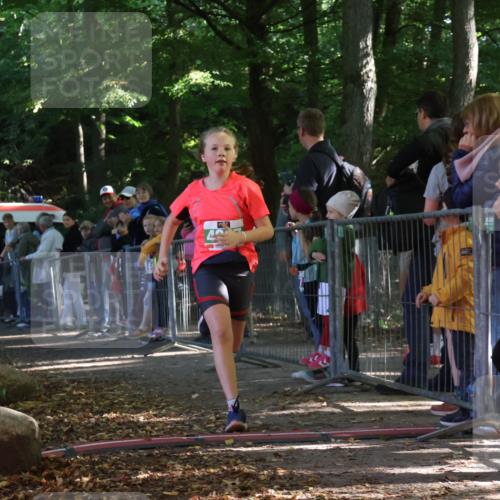 28.09.2025 - 33. Volkslauf durch das schöne Alstertal Strokosch-Dieckow http://msf.ph/oto/8962891 28.09.2025 10:59:15 Ziel 4917 meine-sportfotos.de