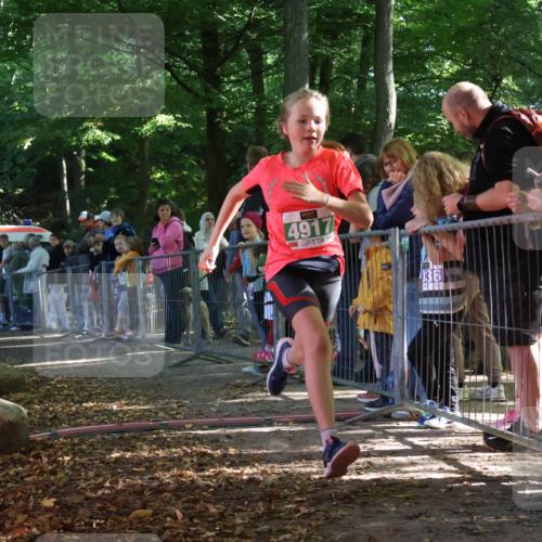 28.09.2025 - 33. Volkslauf durch das schöne Alstertal Strokosch-Dieckow http://msf.ph/oto/8962893 28.09.2025 10:59:16 Ziel 4917 meine-sportfotos.de