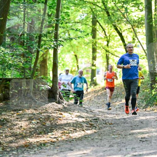 28.09.2025 - 33. Volkslauf durch das schöne Alstertal Dr. Thomas Lammeyer http://msf.ph/oto/8962897 28.09.2025 11:13:07 Laufen 3009 meine-sportfotos.de