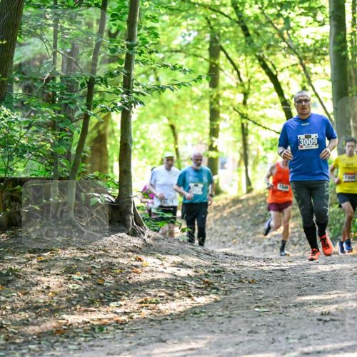 28.09.2025 - 33. Volkslauf durch das schöne Alstertal Dr. Thomas Lammeyer http://msf.ph/oto/8962905 28.09.2025 11:13:07 Laufen 3009, 1505 meine-sportfotos.de