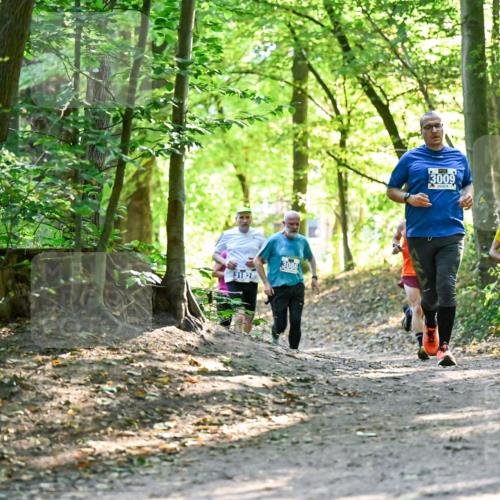 28.09.2025 - 33. Volkslauf durch das schöne Alstertal Dr. Thomas Lammeyer http://msf.ph/oto/8962908 28.09.2025 11:13:08 Laufen 3182, 3086, 3009, 1505 meine-sportfotos.de