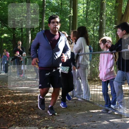 28.09.2025 - 33. Volkslauf durch das schöne Alstertal Strokosch-Dieckow http://msf.ph/oto/8962911 28.09.2025 10:59:53 Ziel 4028, 4099 meine-sportfotos.de