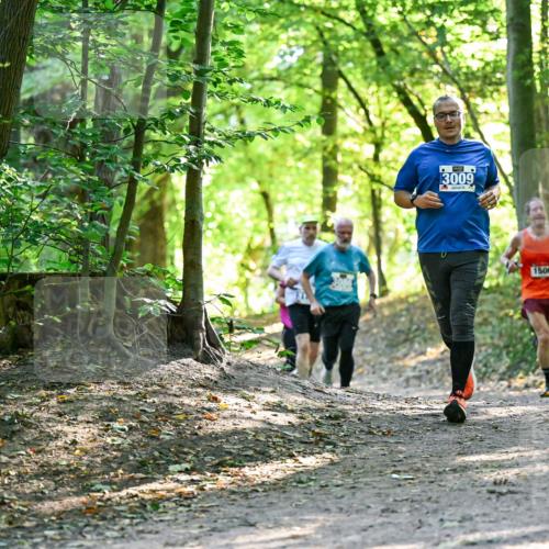 28.09.2025 - 33. Volkslauf durch das schöne Alstertal Dr. Thomas Lammeyer http://msf.ph/oto/8962914 28.09.2025 11:13:08 Laufen 3086, 3009, 1506, 505 meine-sportfotos.de