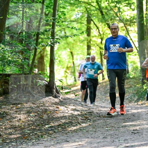 28.09.2025 - 33. Volkslauf durch das schöne Alstertal Dr. Thomas Lammeyer http://msf.ph/oto/8962917 28.09.2025 11:13:09 Laufen 3009, 150 meine-sportfotos.de