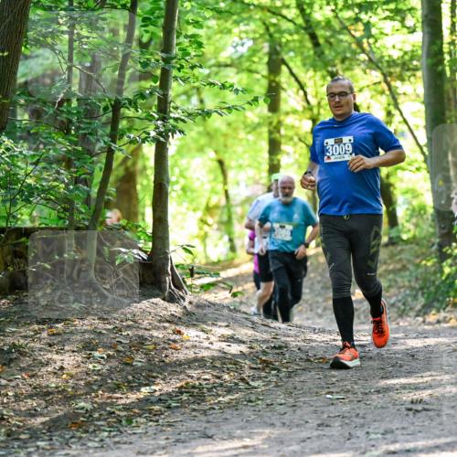28.09.2025 - 33. Volkslauf durch das schöne Alstertal Dr. Thomas Lammeyer http://msf.ph/oto/8962920 28.09.2025 11:13:09 Laufen 10, 86, 3009, 1506 meine-sportfotos.de