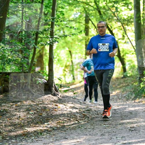 28.09.2025 - 33. Volkslauf durch das schöne Alstertal Dr. Thomas Lammeyer http://msf.ph/oto/8962923 28.09.2025 11:13:09 Laufen 3009, 1506 meine-sportfotos.de