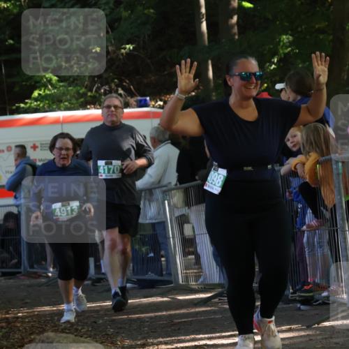 28.09.2025 - 33. Volkslauf durch das schöne Alstertal Strokosch-Dieckow http://msf.ph/oto/8962926 28.09.2025 11:00:05 Ziel 4098, 4170, 4913 meine-sportfotos.de