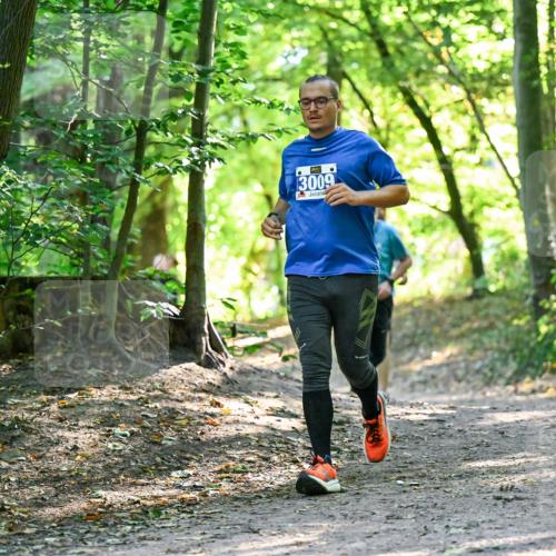 28.09.2025 - 33. Volkslauf durch das schöne Alstertal Dr. Thomas Lammeyer http://msf.ph/oto/8962927 28.09.2025 11:13:09 Laufen 3009, 1506 meine-sportfotos.de