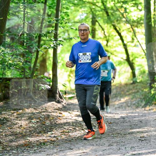 28.09.2025 - 33. Volkslauf durch das schöne Alstertal Dr. Thomas Lammeyer http://msf.ph/oto/8962928 28.09.2025 11:13:10 Laufen 3009, 1506 meine-sportfotos.de