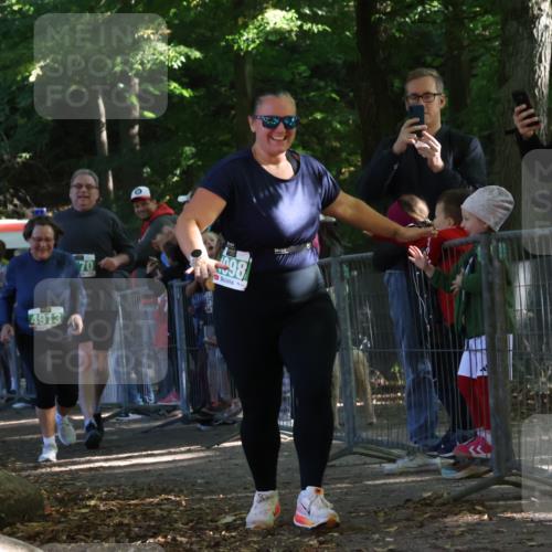 28.09.2025 - 33. Volkslauf durch das schöne Alstertal Strokosch-Dieckow http://msf.ph/oto/8962931 28.09.2025 11:00:07 Ziel 4098, 4170, 4913 meine-sportfotos.de