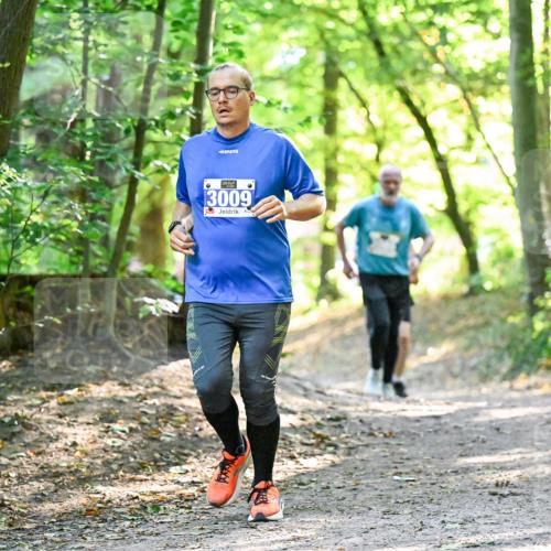 28.09.2025 - 33. Volkslauf durch das schöne Alstertal Dr. Thomas Lammeyer http://msf.ph/oto/8962934 28.09.2025 11:13:10 Laufen 3009, 1506 meine-sportfotos.de