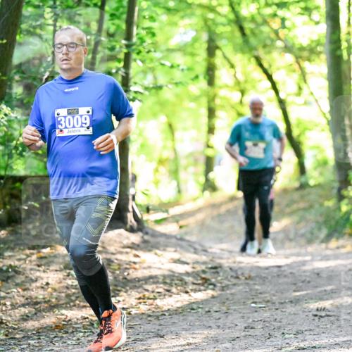 28.09.2025 - 33. Volkslauf durch das schöne Alstertal Dr. Thomas Lammeyer http://msf.ph/oto/8962937 28.09.2025 11:13:10 Laufen 3009, 1506 meine-sportfotos.de