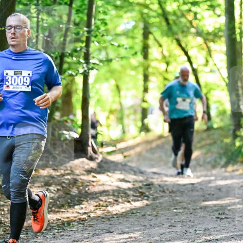 28.09.2025 - 33. Volkslauf durch das schöne Alstertal Dr. Thomas Lammeyer http://msf.ph/oto/8962938 28.09.2025 11:13:11 Laufen 13009, 1506 meine-sportfotos.de