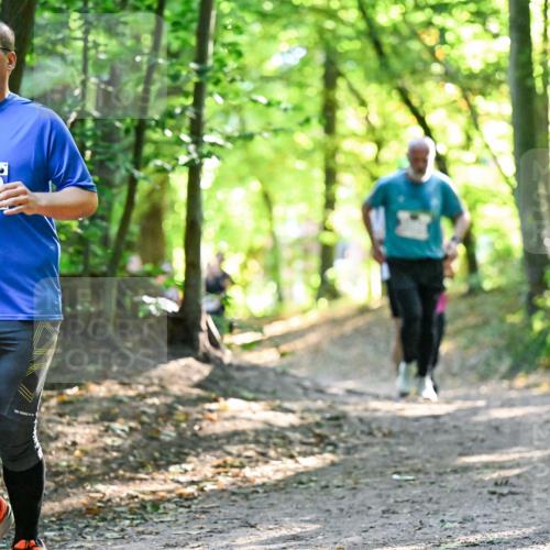 28.09.2025 - 33. Volkslauf durch das schöne Alstertal Dr. Thomas Lammeyer http://msf.ph/oto/8962940 28.09.2025 11:13:11 Laufen 3000, 1506 meine-sportfotos.de