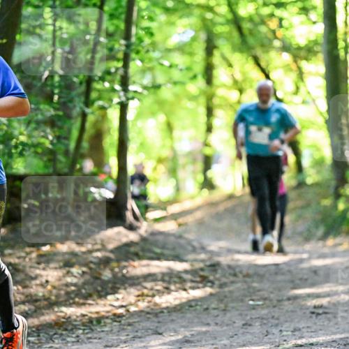 28.09.2025 - 33. Volkslauf durch das schöne Alstertal Dr. Thomas Lammeyer http://msf.ph/oto/8962941 28.09.2025 11:13:11 Laufen 300, 1506 meine-sportfotos.de